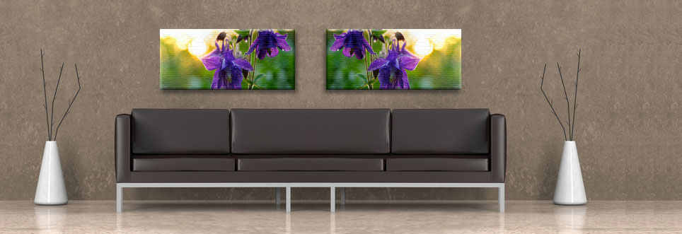 Bilder & Wanddekoration